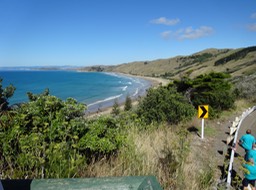 DSC03524