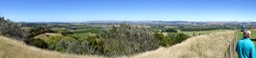 DSC03529