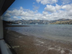 DSC04054