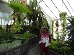 DSC04091