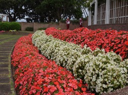 DSC04180