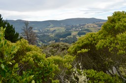 DSC_0034