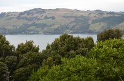 DSC_0039