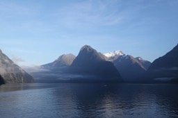 IMG_2956